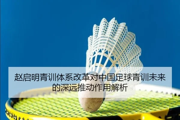 赵启明青训体系改革对中国足球青训未来的深远推动作用解析